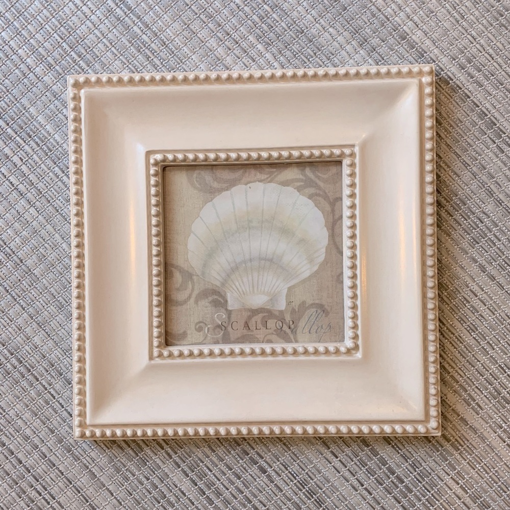 Scallop Framed Print